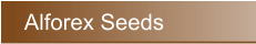 Alforex Seeds